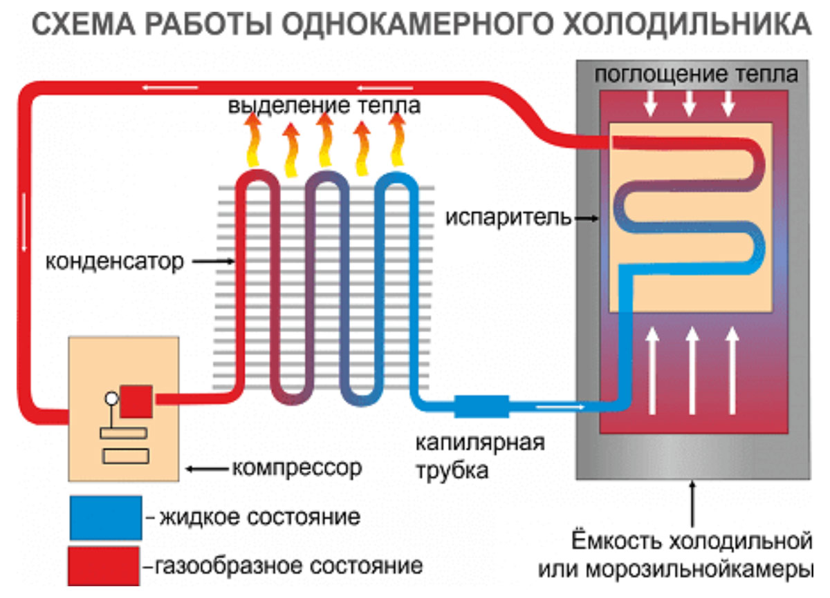 Як влаштований холодильник