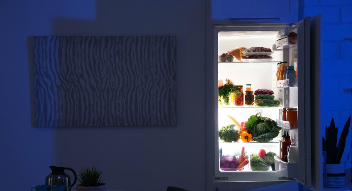 Холодильник пищит после отключения света