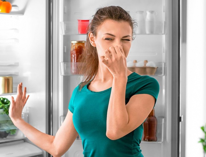 Поглотители запаха и озонирующие приспособления для холодильника